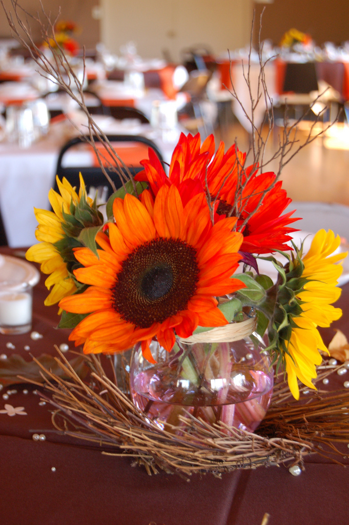 Wedding Themes And Colours