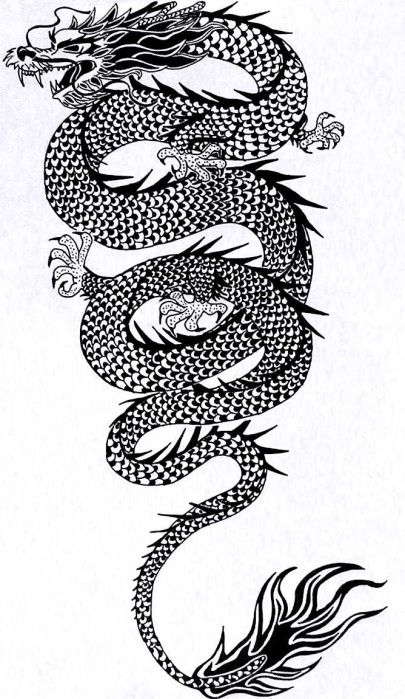 Welsh Dragon Tattoo Designs For Women