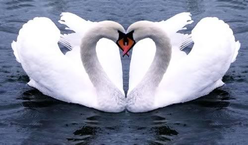 What Is Love