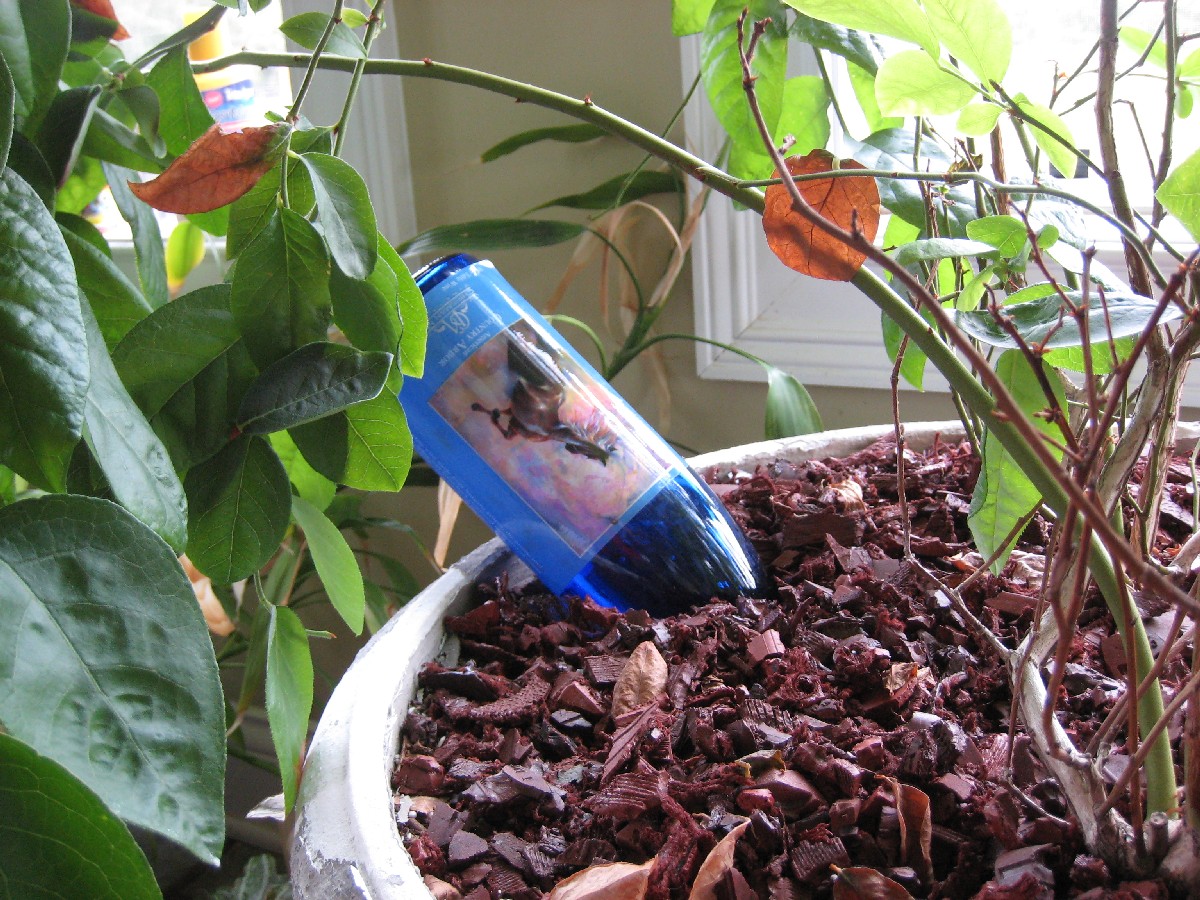Wine Bottle Crafts
