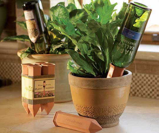 Wine Bottle Crafts