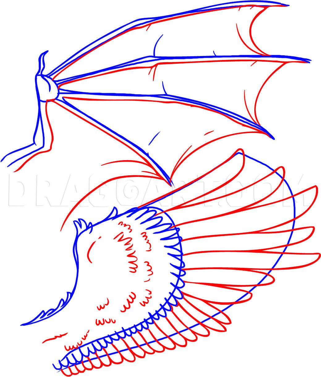 Wings Drawing Hd