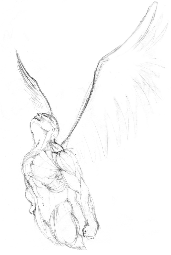 Wings Drawings In Pencil