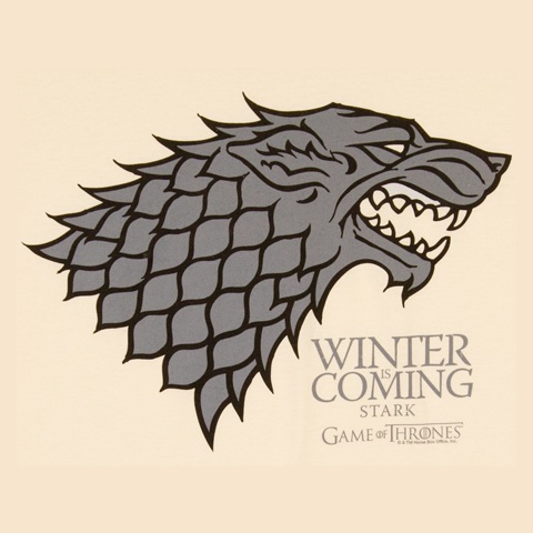 Winter Is Coming T Shirt